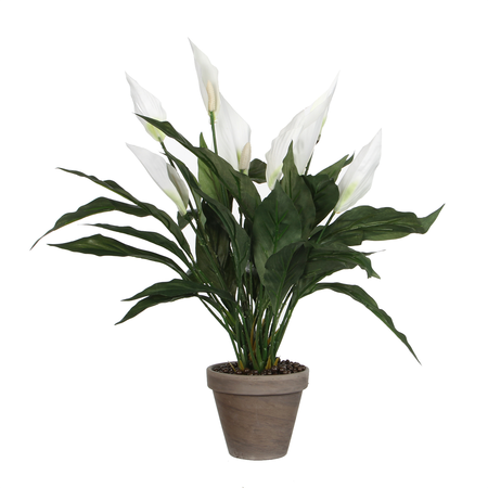Spathiphyllum d40h50cm wit (Zijde-plant)
