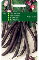 Stamslaboon purple queen 100g - afbeelding 3