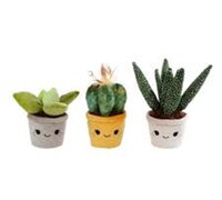 Take me home plant a3l19 l27cm