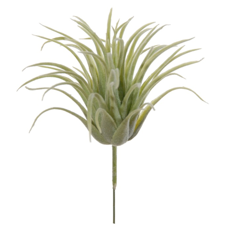 Tillandsia h17cm groen (Zijde-tak)