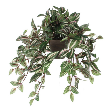 Tradescantia hang l45b25h25cm groen