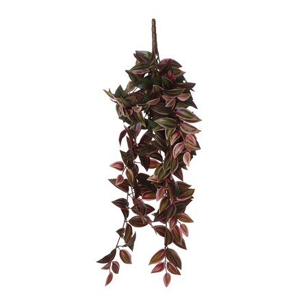 Tradescantia hang l54b20h15cm bordx