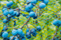 Tuinnet nano h4b10m blauw - afbeelding 3