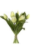 Tulpenbundel h30cm licht geel