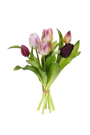 Tulpenbundel h30cm lila/paars mix