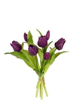 Tulpenbundel h30cm paars