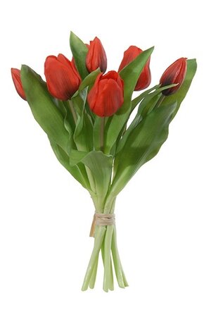 Tulpenbundel h30cm rood