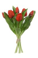 Tulpenbundel h30cm rood