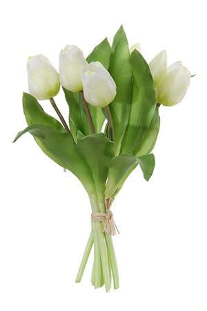 Tulpenbundel h30cm wit/groen