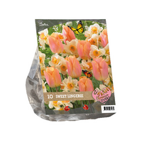 Urban flowers - sweet lingery 10st