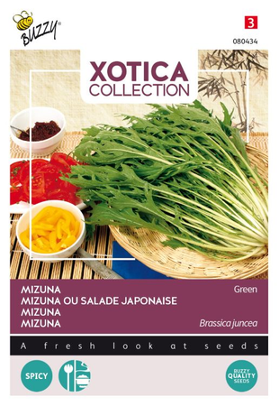 Xotica mizuna 10g - afbeelding 1