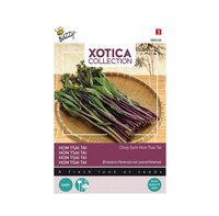 Xotica purple choy sum hon tsai tai