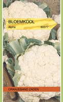 Zaden bloemkool alpha 7 1g - afbeelding 3