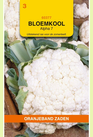 Zaden bloemkool alpha 7 1g - afbeelding 1