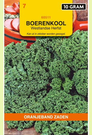 Zaden boerenkool westlandse 10g - afbeelding 1