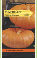 Zaden pompoen r. vif d etampes 3g - afbeelding 3