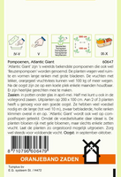 Zaden pompoenen atlantic giant 2.5g - afbeelding 2