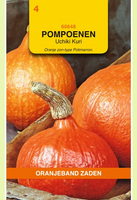 Zaden pompoenen uchiki kuri 3g - afbeelding 1