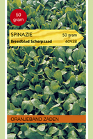 Zaden spinazie breedblad 50g - afbeelding 3