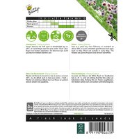 Zaden vlambloem cherry caramel 0.4g - afbeelding 2