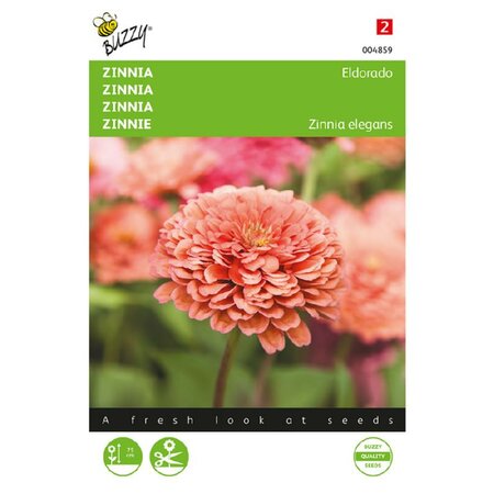 Zinnia eldorado 1g - afbeelding 1