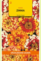 Zinnia haageana mix 0.75gram - afbeelding 1