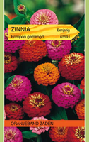 Zinnia pompon mix 1.5g - afbeelding 3