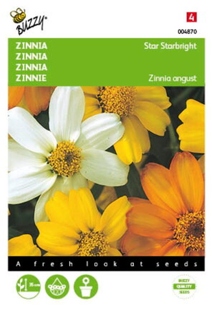 Zinnia star starbright mixed 20zaden - afbeelding 1
