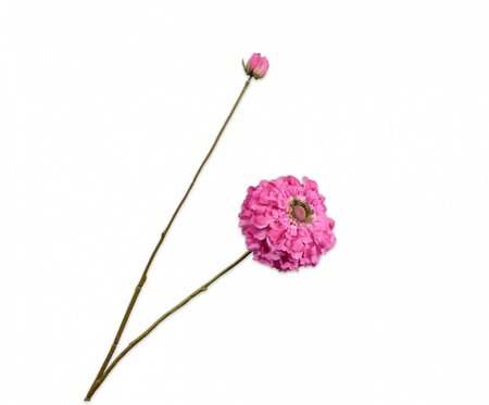 Zinniatak l85cm lavendel