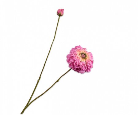 Zinniatak l85cm lavendel/paars