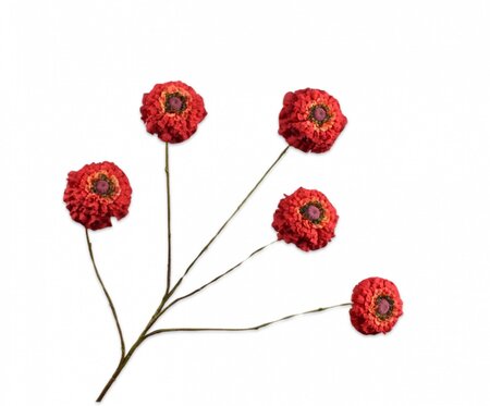 Zinniatak l91cm rood