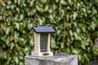 Zwarte zonnebloempitten biologisch 2.5kg